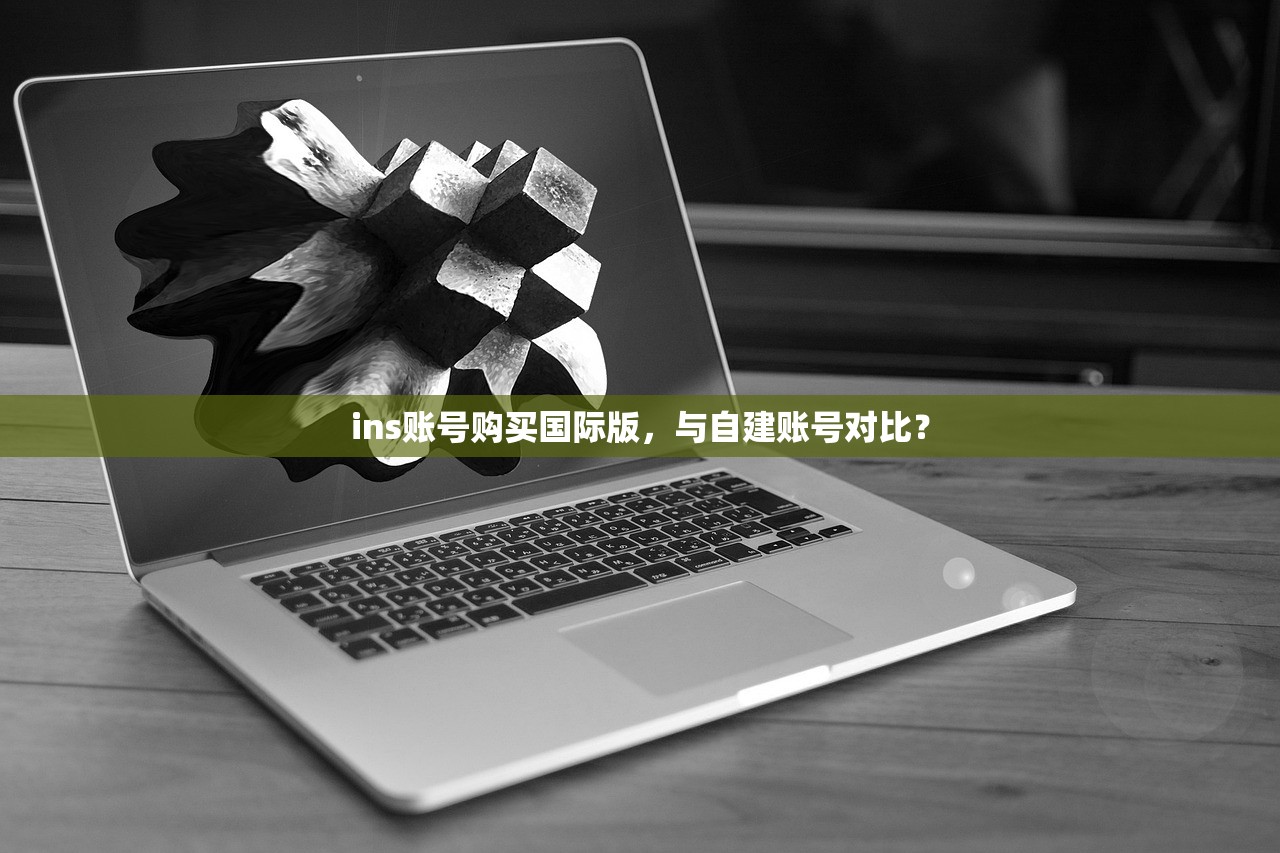 ins账号购买国际版,与自建账号对比?