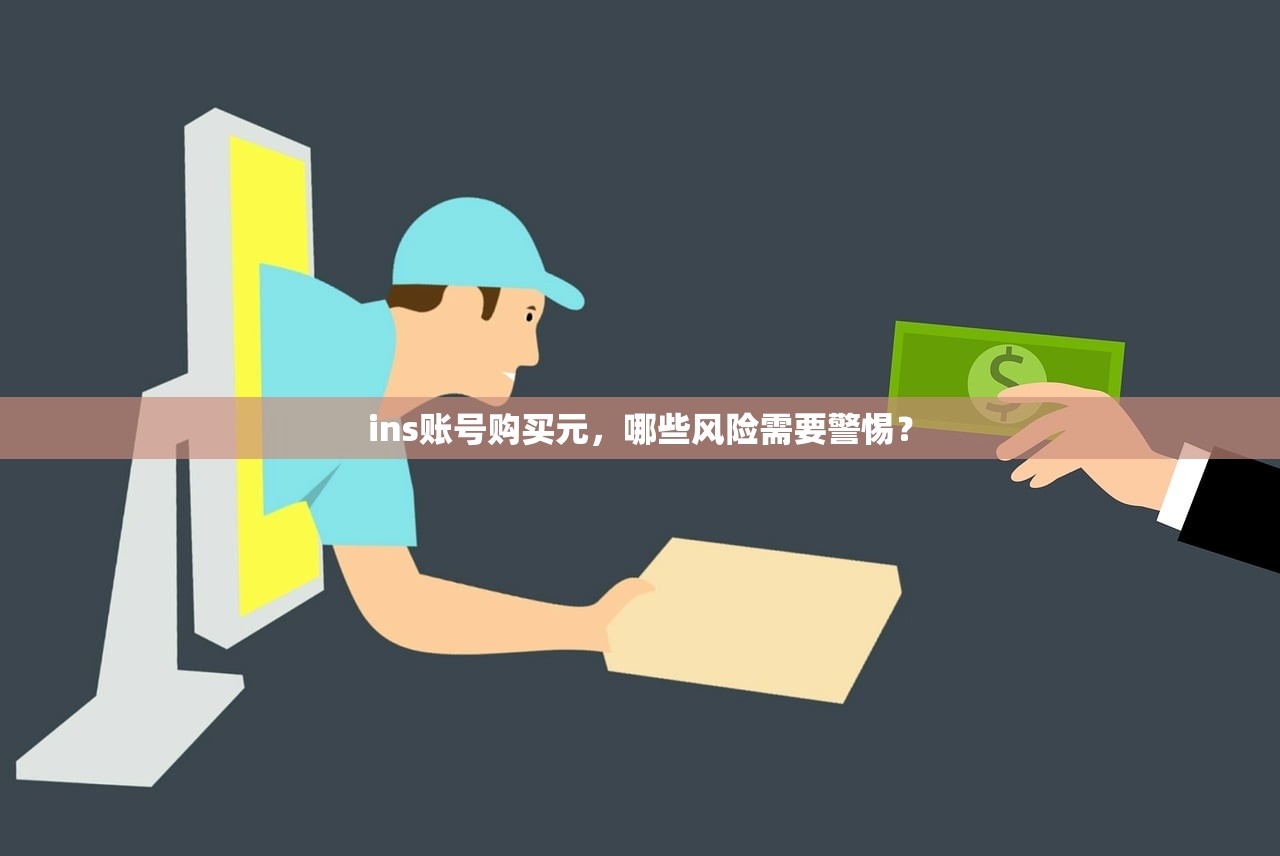 ins账号购买元,哪些风险需要警惕?