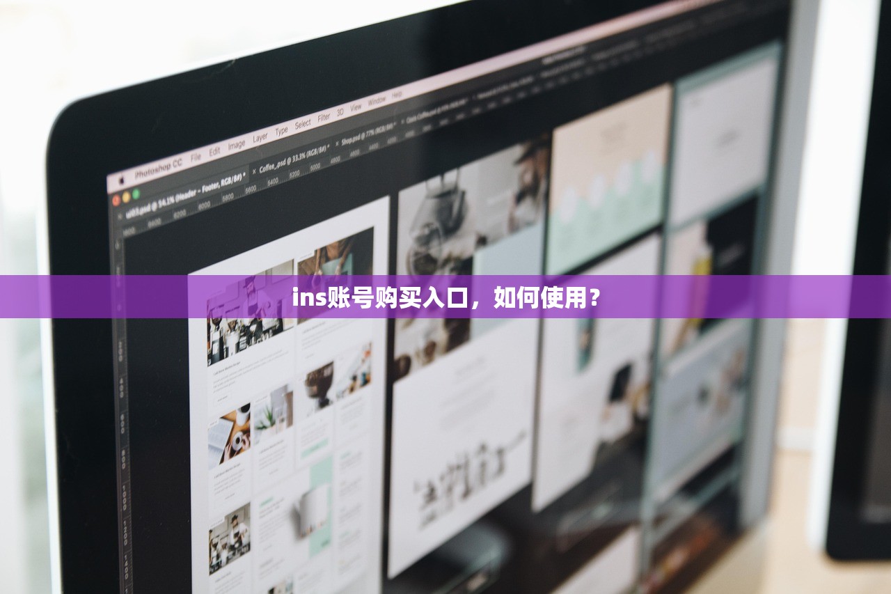 ins账号购买入口，如何使用？
