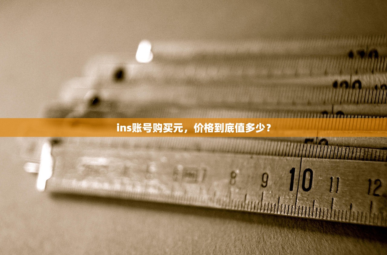 ins账号购买元，价格到底值多少？