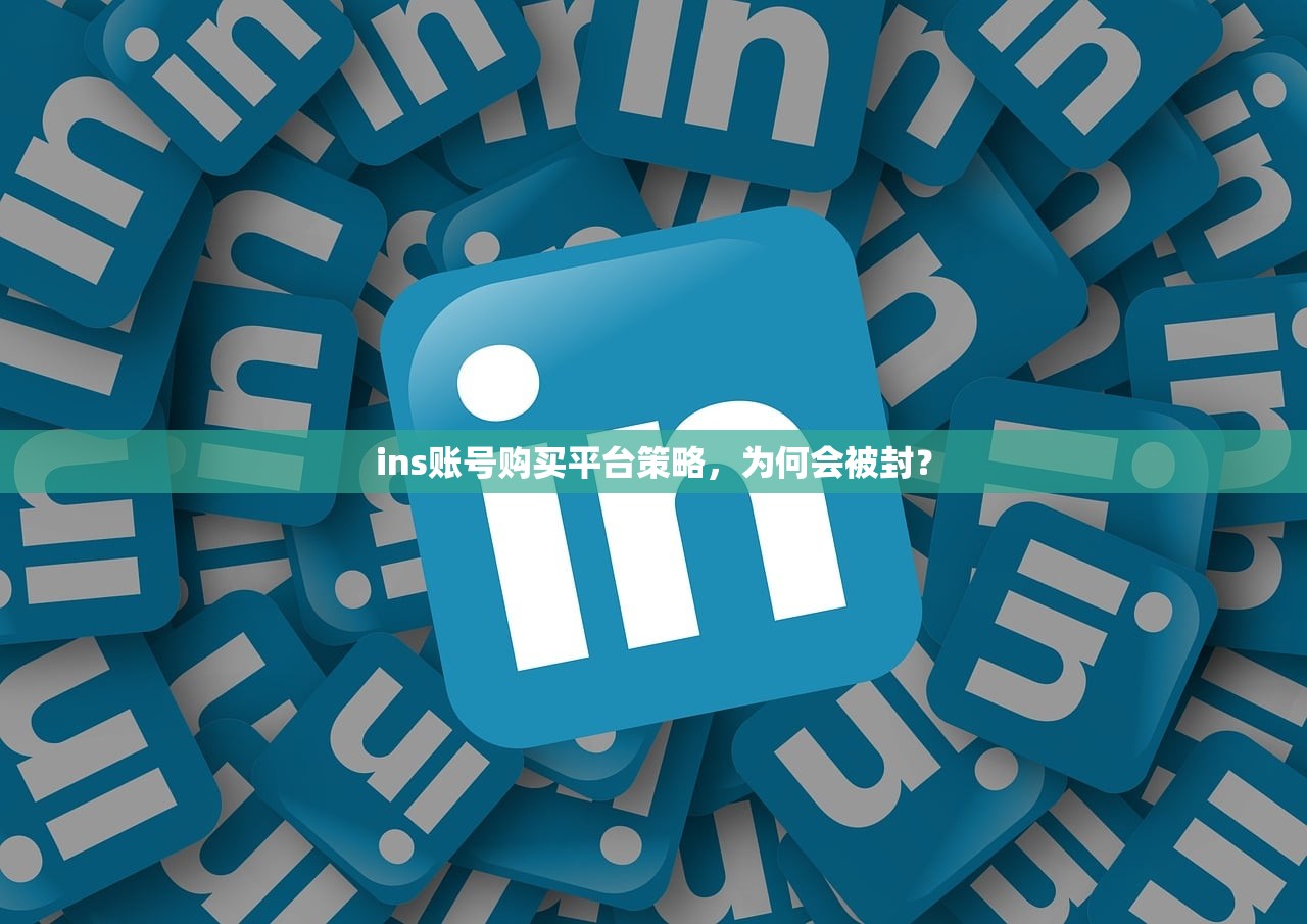 ins账号购买平台策略，为何会被封？