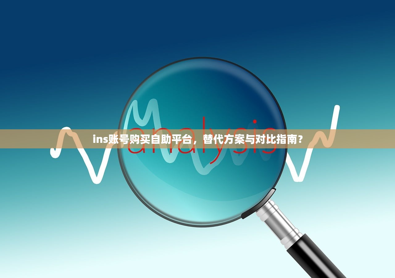 ins账号购买自助平台,替代方案与对比指南?