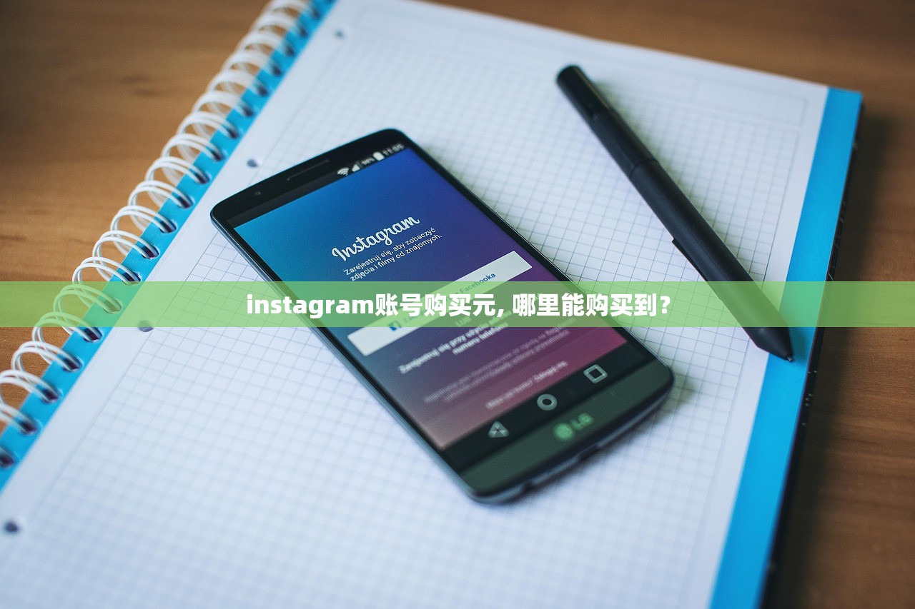 instagram账号购买元, 哪里能购买到?