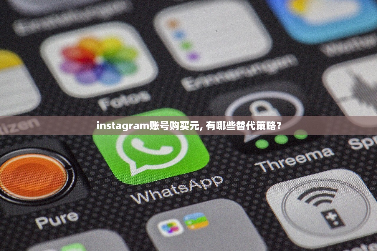 instagram账号购买元, 有哪些替代策略?