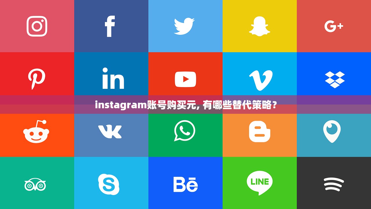 instagram账号购买元, 有哪些替代策略?