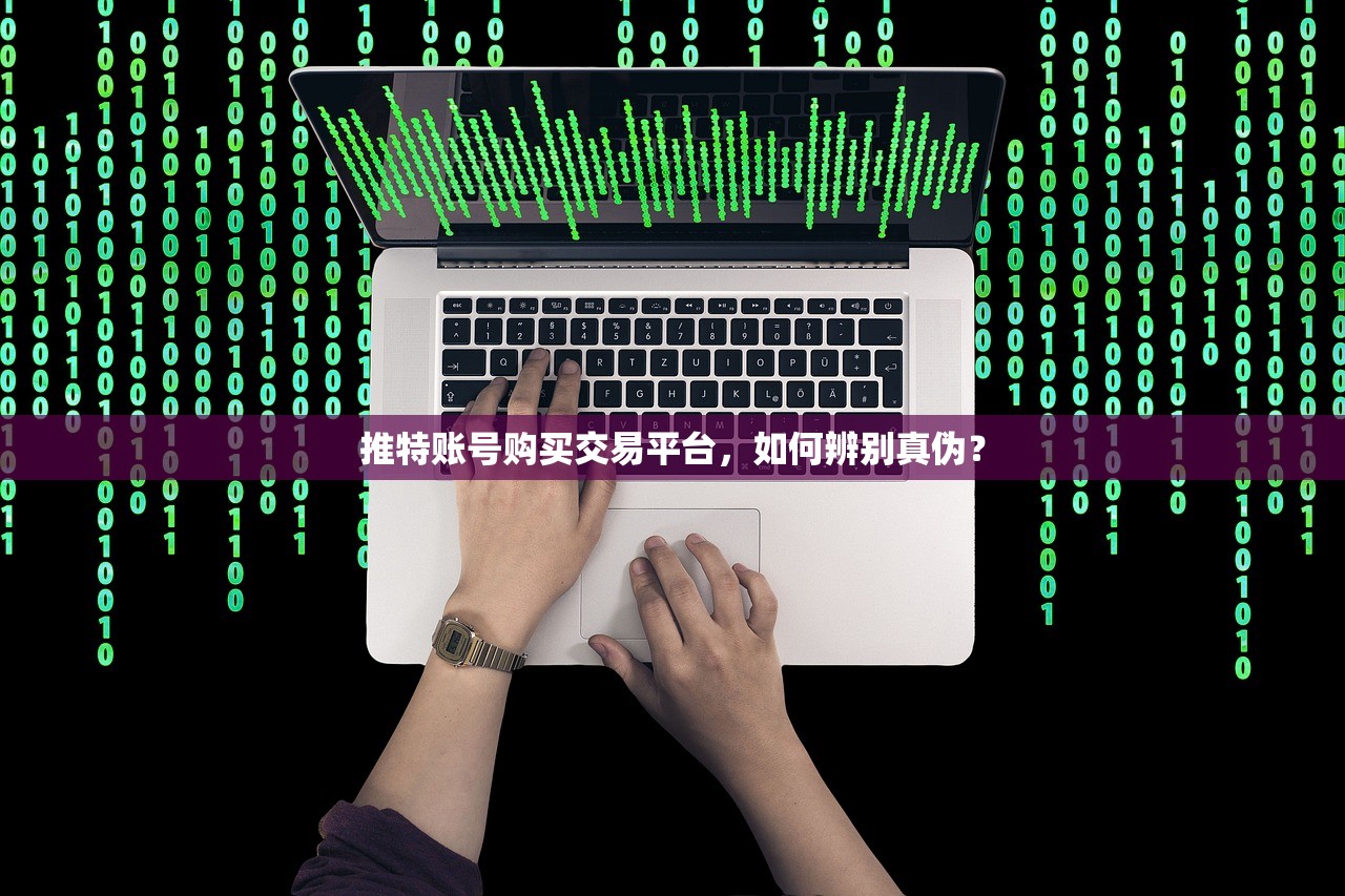 推特账号购买交易平台,如何辨别真伪?