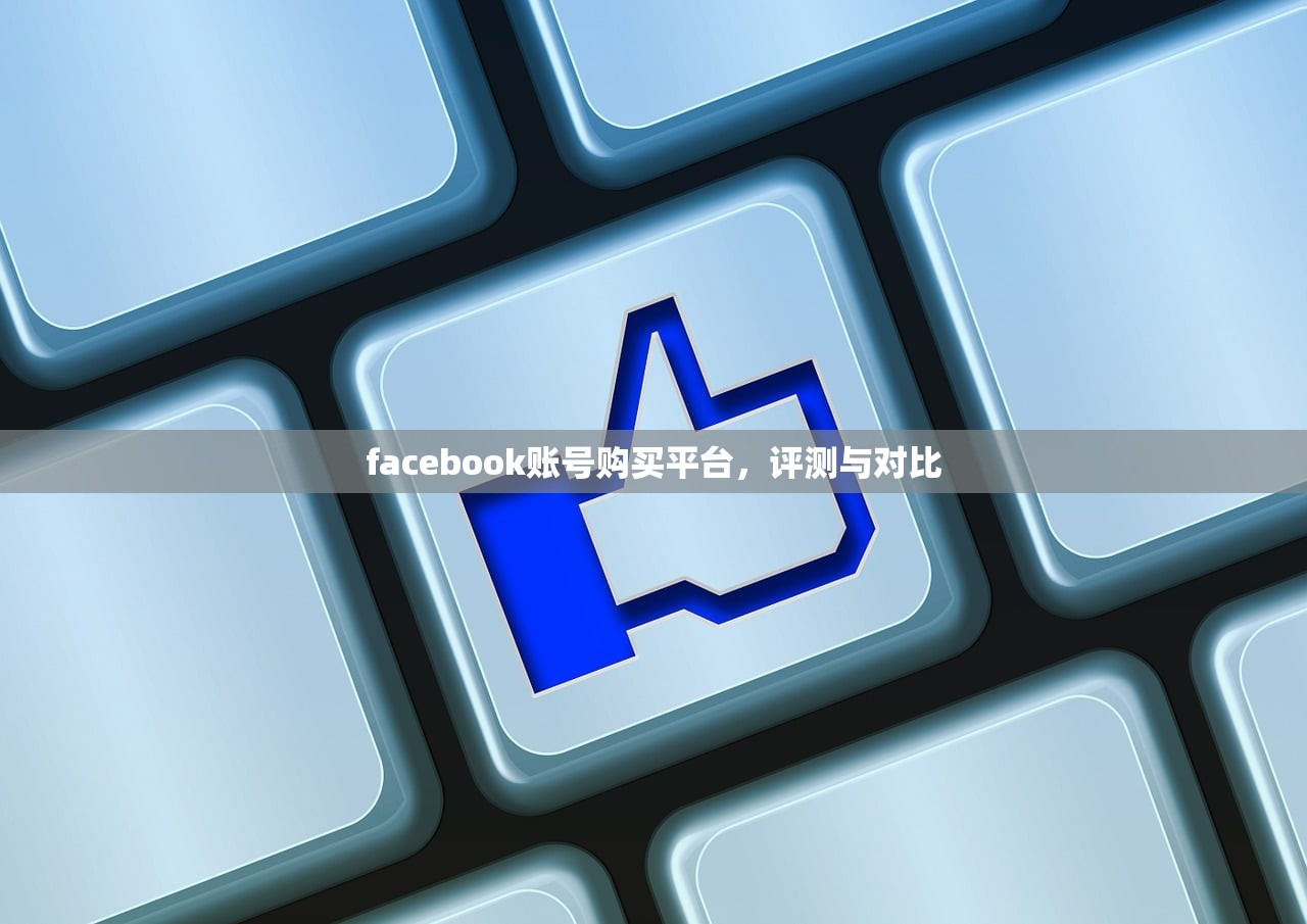 facebook账号购买平台，评测与对比
