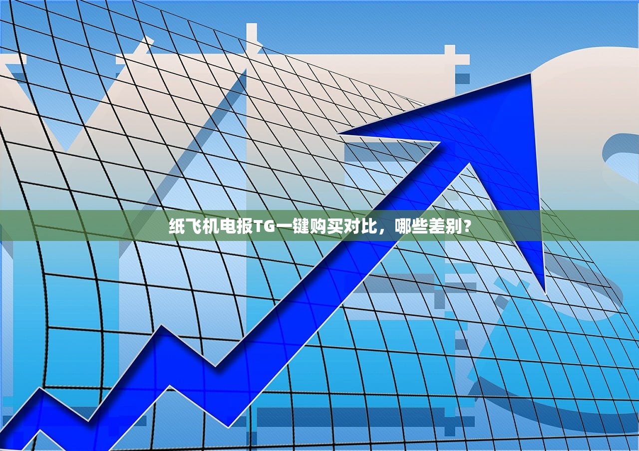 纸飞机电报TG一键购买对比，哪些差别？