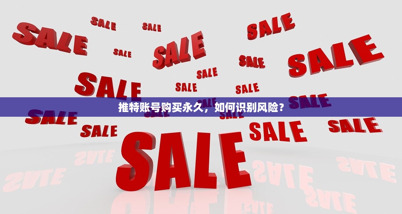 推特账号购买永久,如何识别风险?