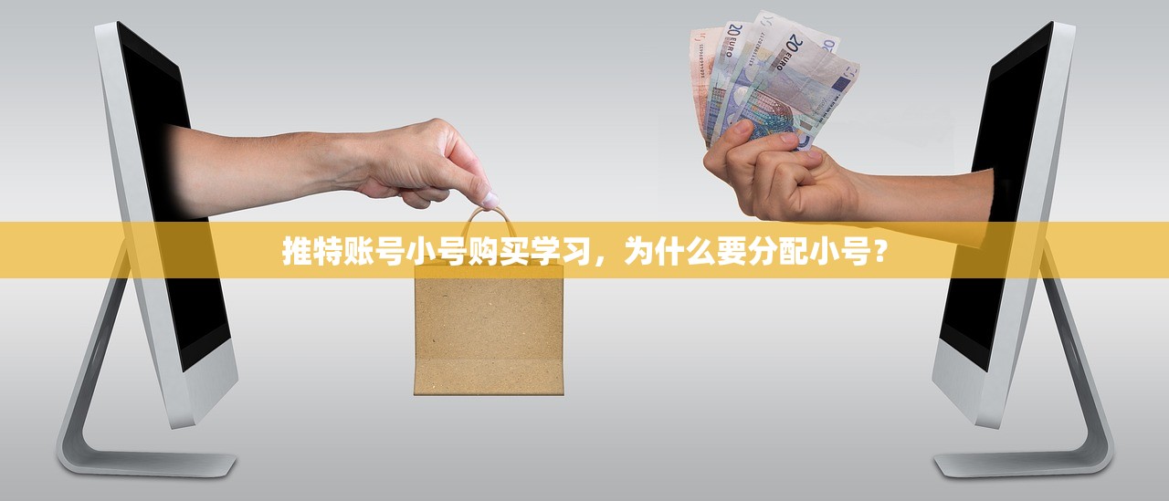 推特账号小号购买学习,为什么要分配小号?