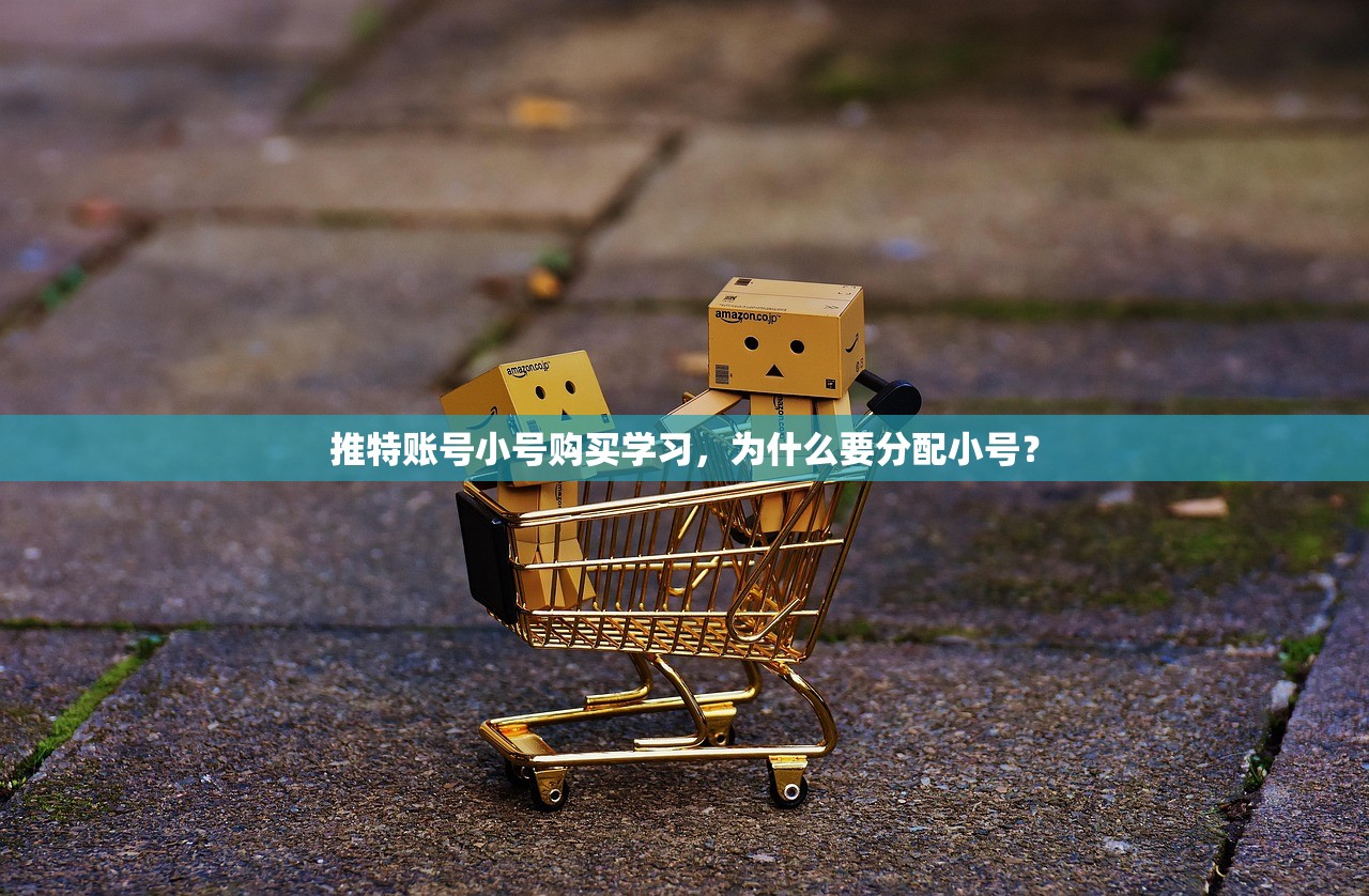 推特账号小号购买学习,为什么要分配小号?