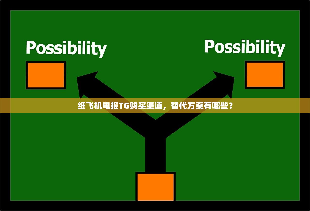 纸飞机电报TG购买渠道,替代方案有哪些?
