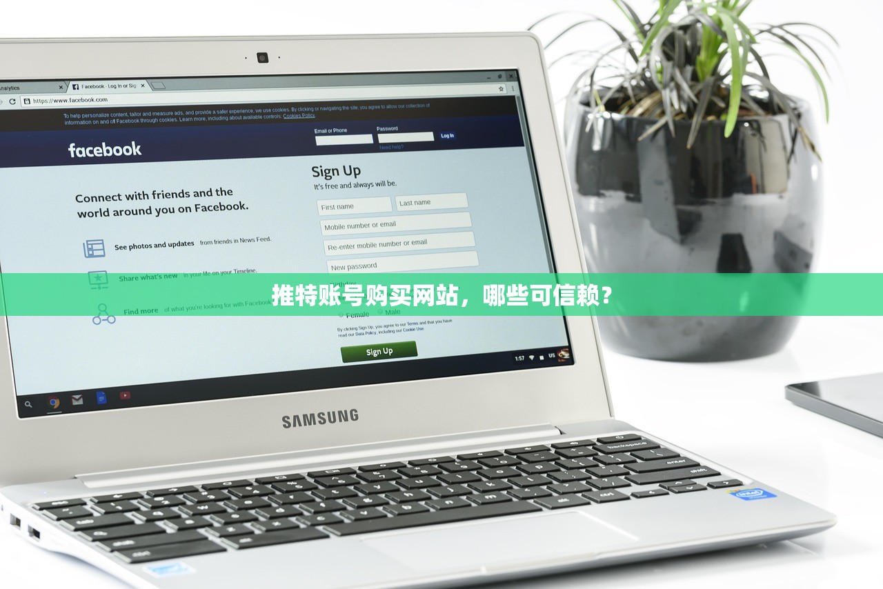 推特账号购买网站,哪些可信赖?