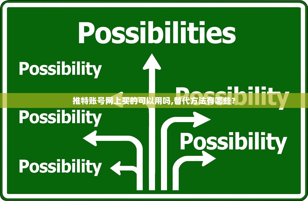 推特账号网上买的可以用吗,替代方法有哪些?