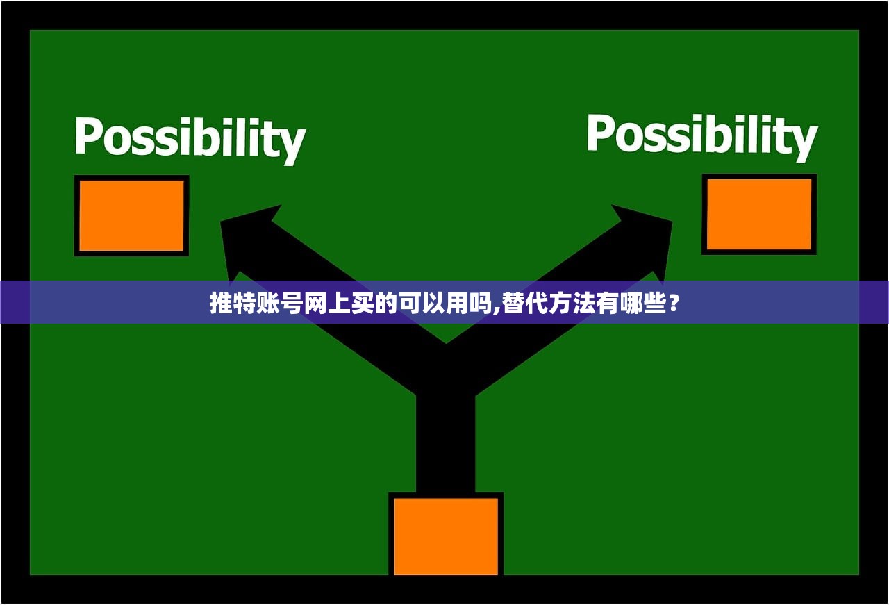 推特账号网上买的可以用吗,替代方法有哪些?
