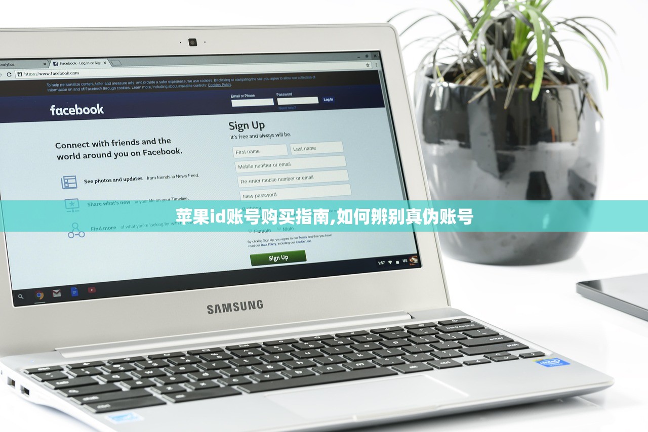 苹果id账号购买指南,如何辨别真伪账号