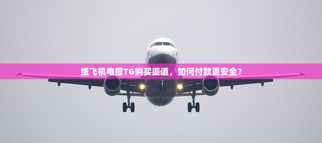 纸飞机电报TG购买渠道，如何付款更安全？