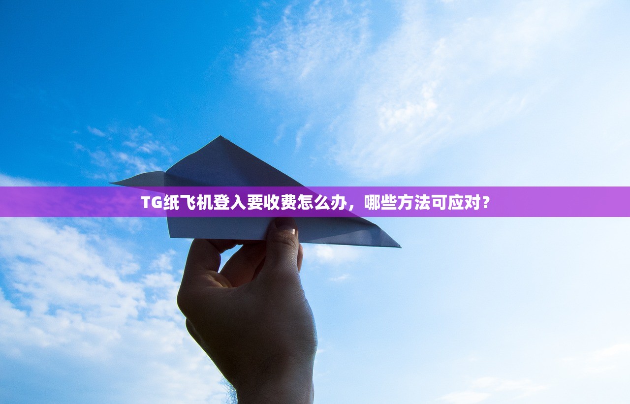 TG纸飞机登入要收费怎么办，哪些方法可应对？