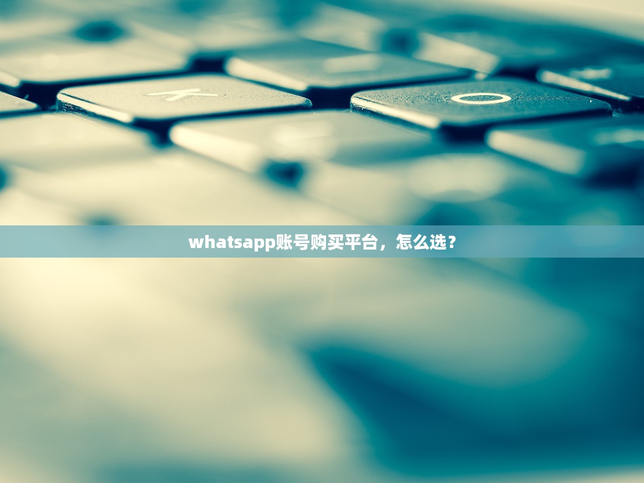 whatsapp账号购买平台,怎么选?