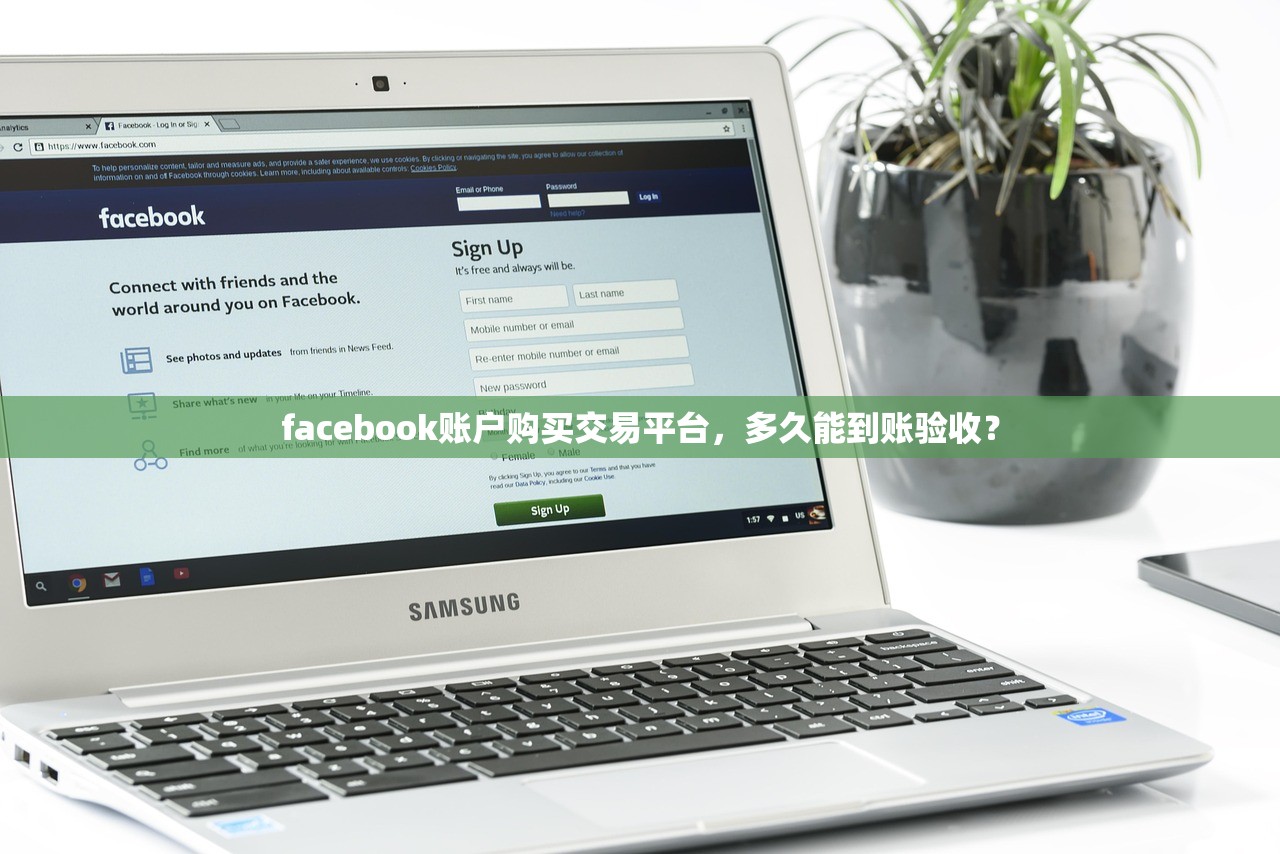 facebook账户购买交易平台,多久能到账验收?