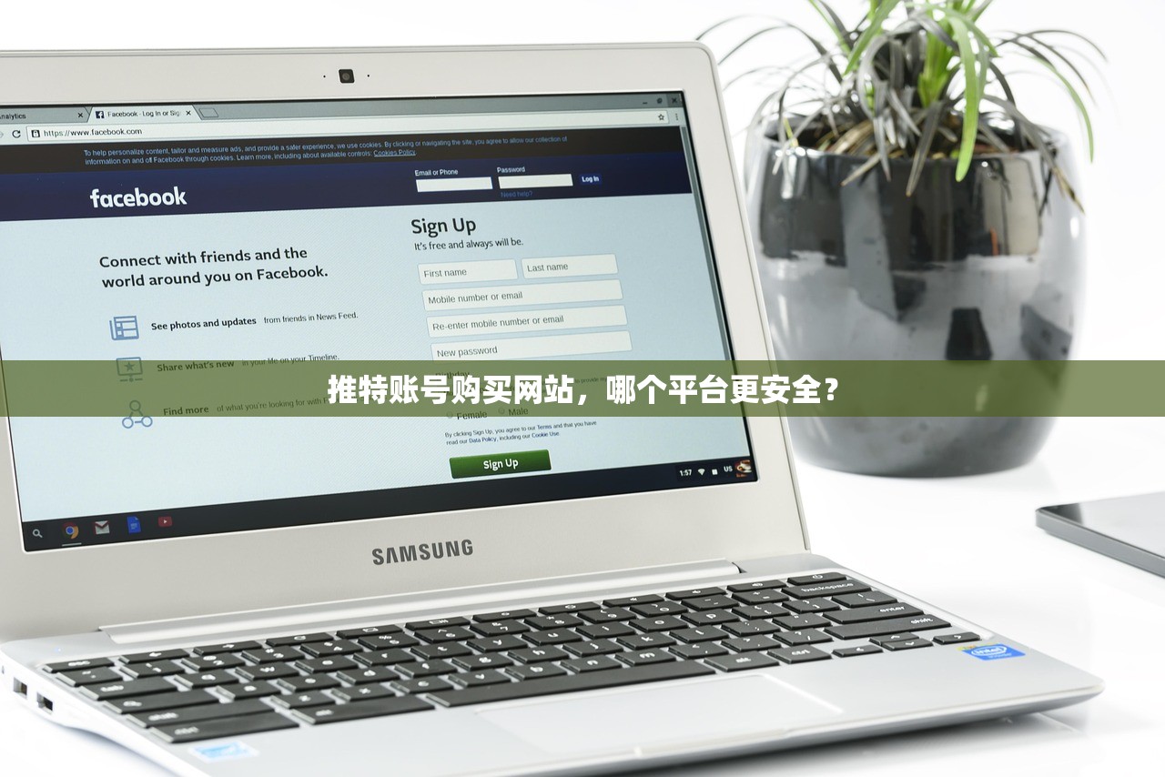 推特账号购买网站，哪个平台更安全？