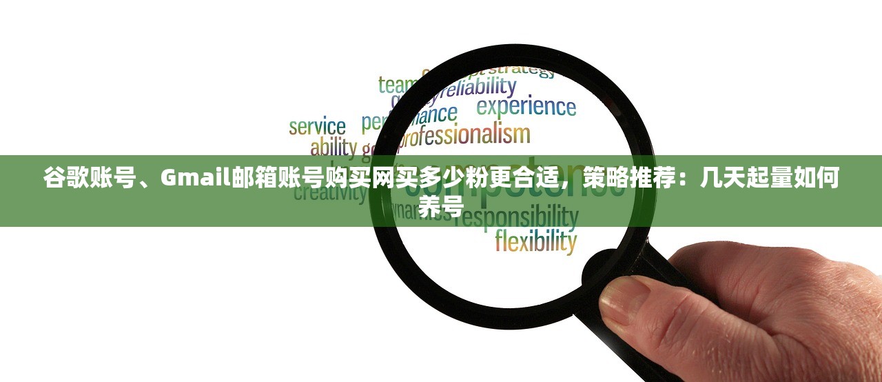 谷歌账号、Gmail邮箱账号购买网买多少粉更合适,策略推荐:几天起量如何养号