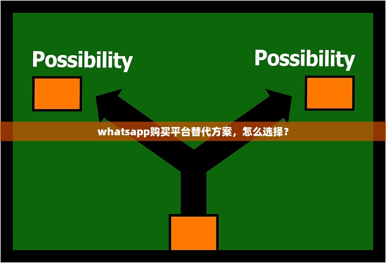 whatsapp购买平台替代方案,怎么选择?