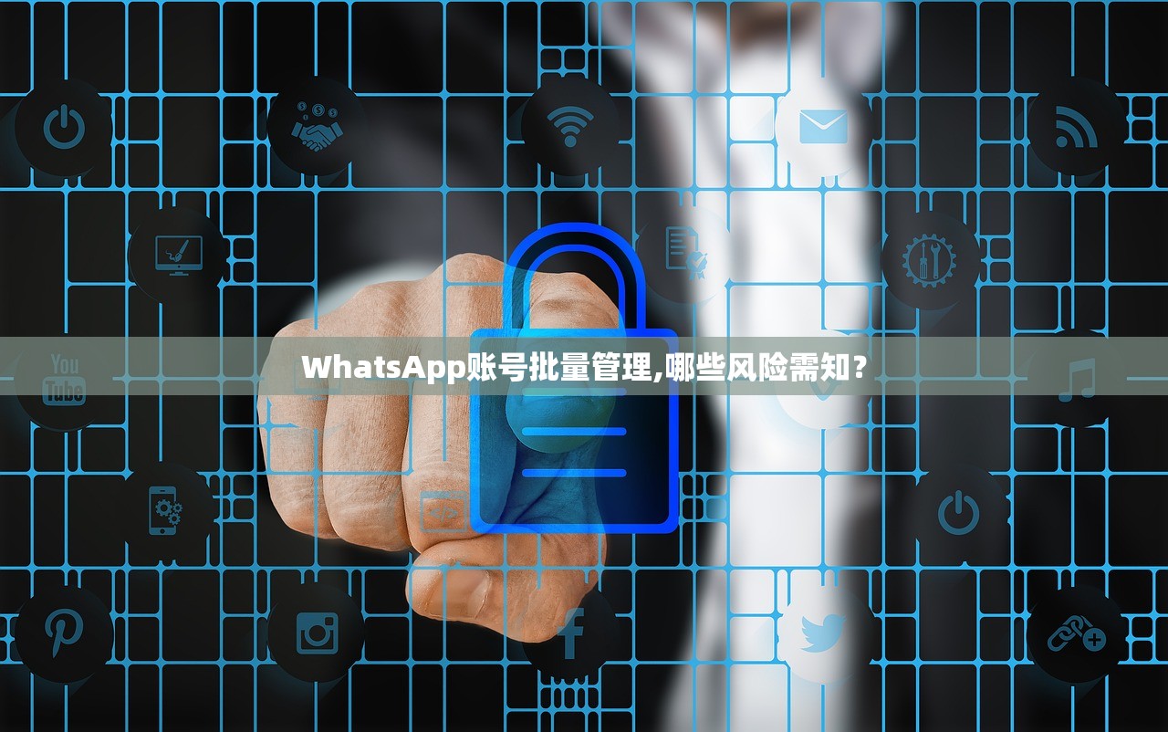 WhatsApp账号批量管理,哪些风险需知?