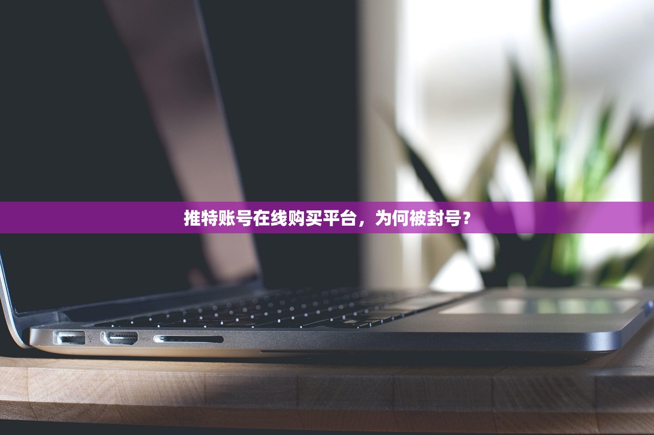 推特账号在线购买平台,为何被封号?