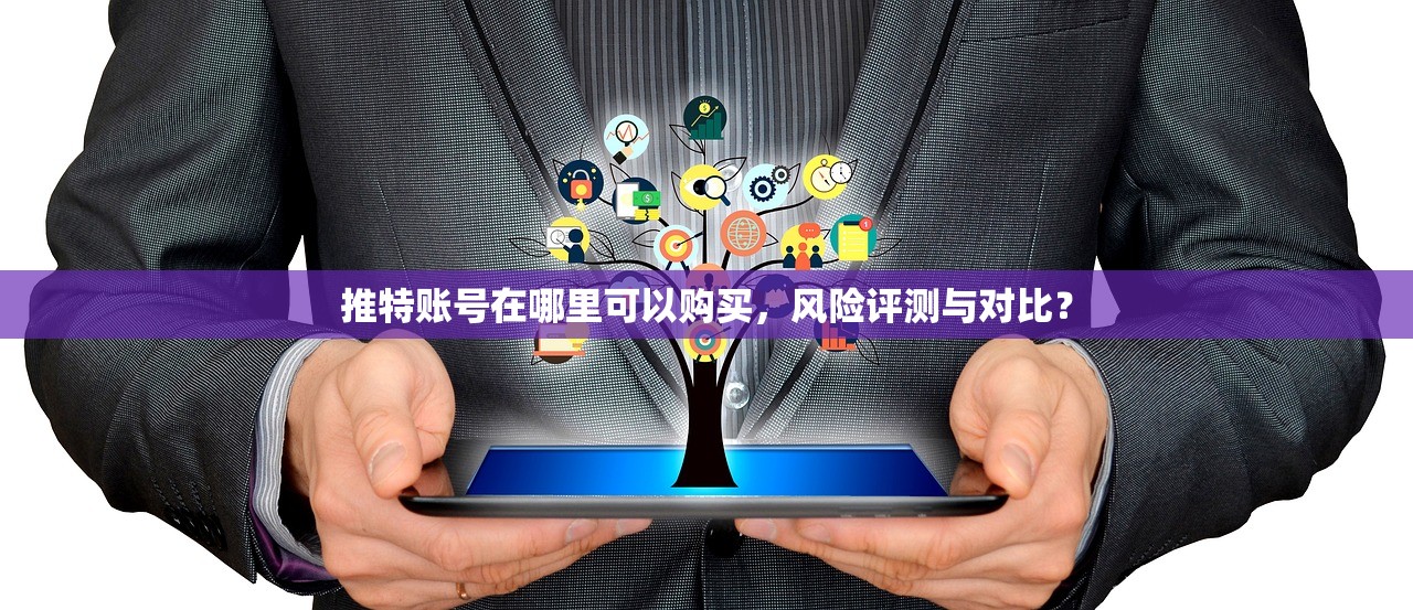 推特账号在哪里可以购买,风险评测与对比?