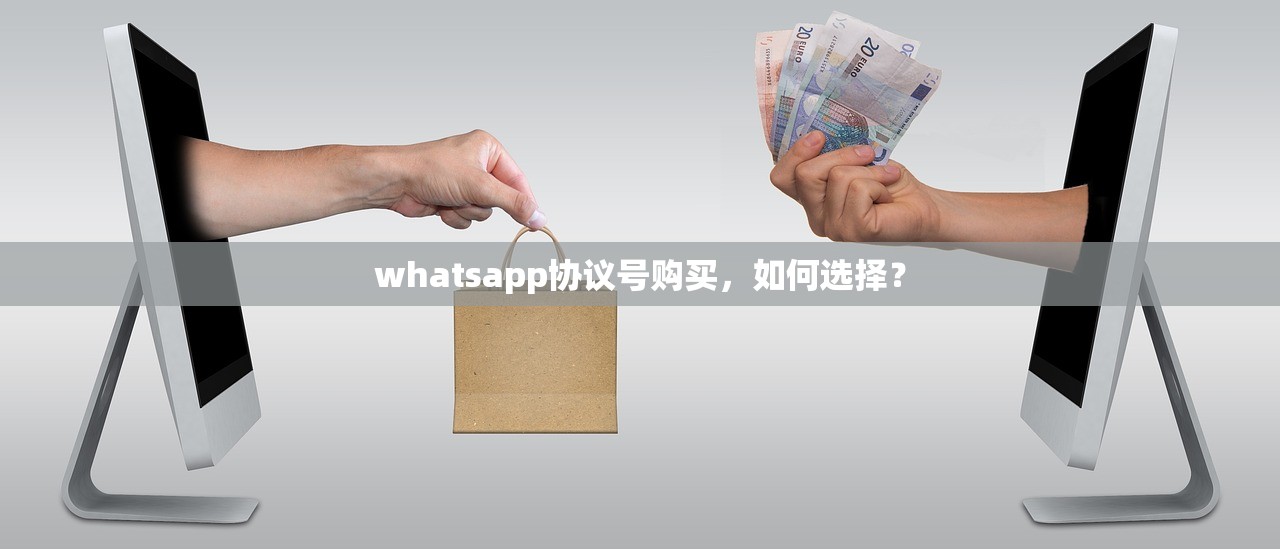 whatsapp协议号购买,如何选择?