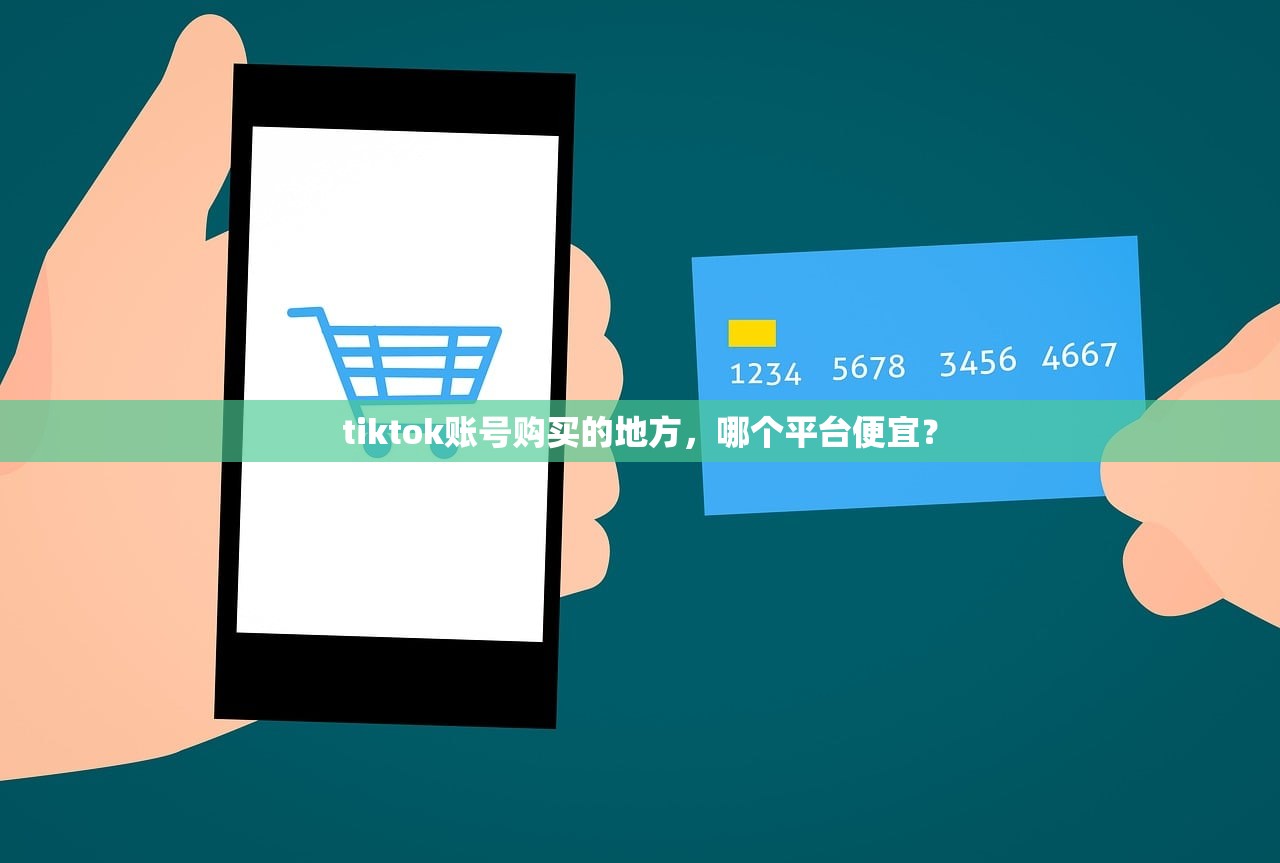 tiktok账号购买的地方,哪个平台便宜?