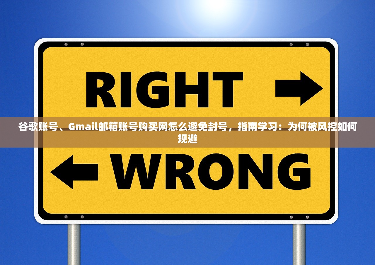 谷歌账号、Gmail邮箱账号购买网怎么避免封号,指南学习:为何被风控如何规避