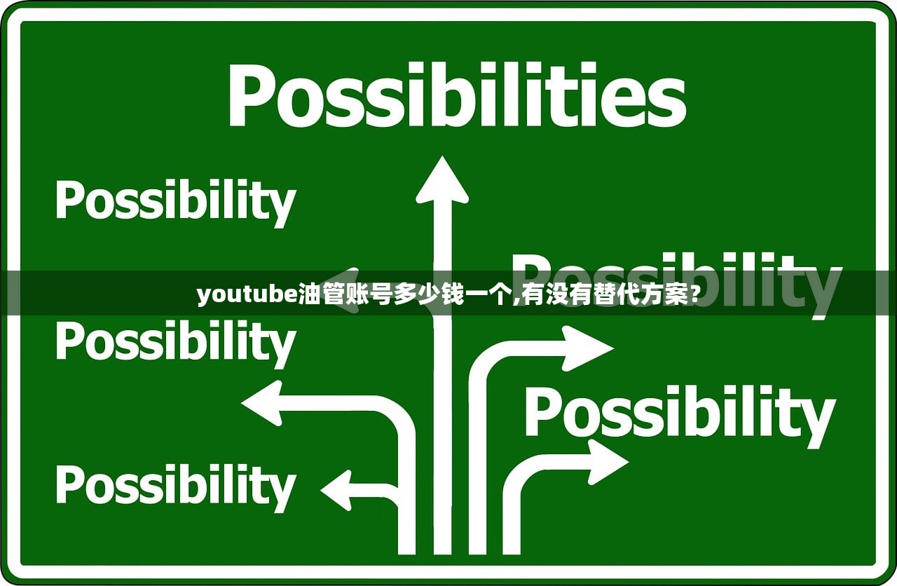 youtube油管账号多少钱一个,有没有替代方案？