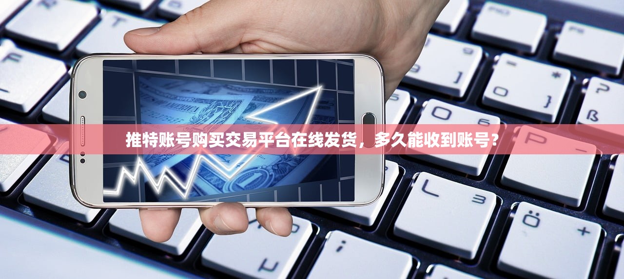推特账号购买交易平台在线发货,多久能收到账号?