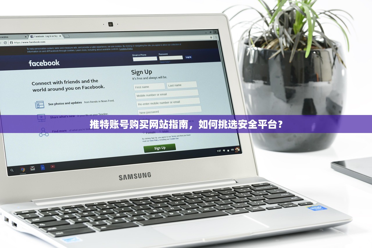 推特账号购买网站指南,如何挑选安全平台?