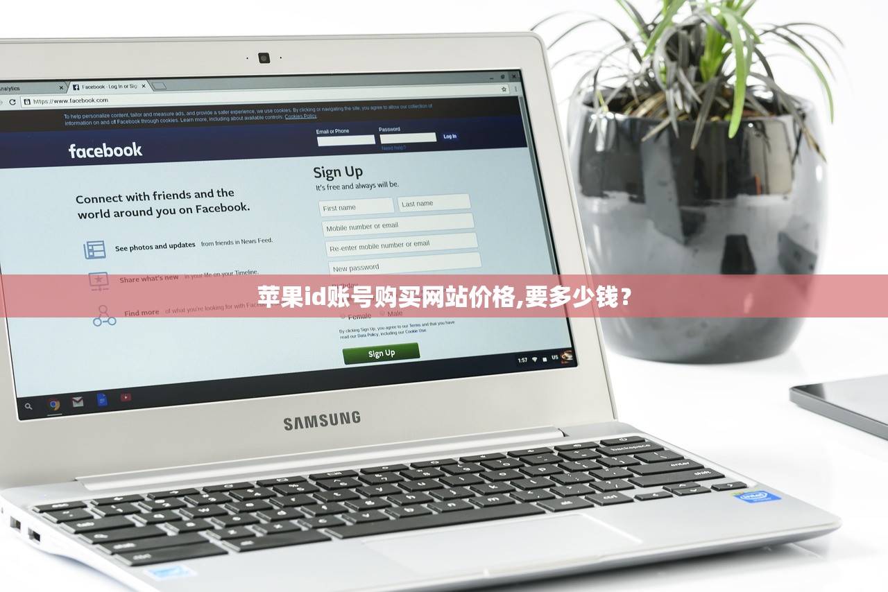tiktok账号售卖平台,评测与对比?