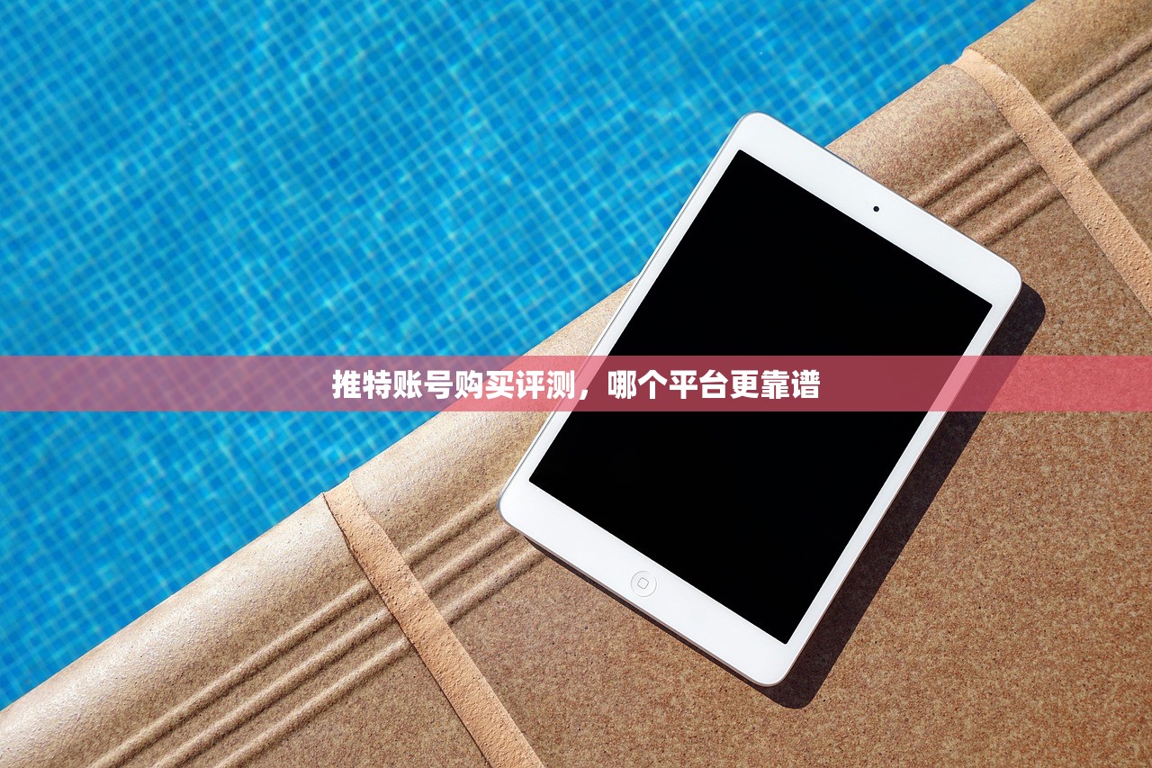 推特账号购买评测，哪个平台更靠谱