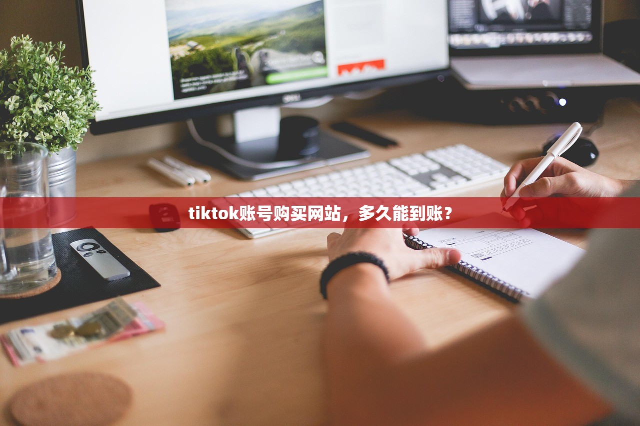 tiktok账号购买网站,多久能到账?