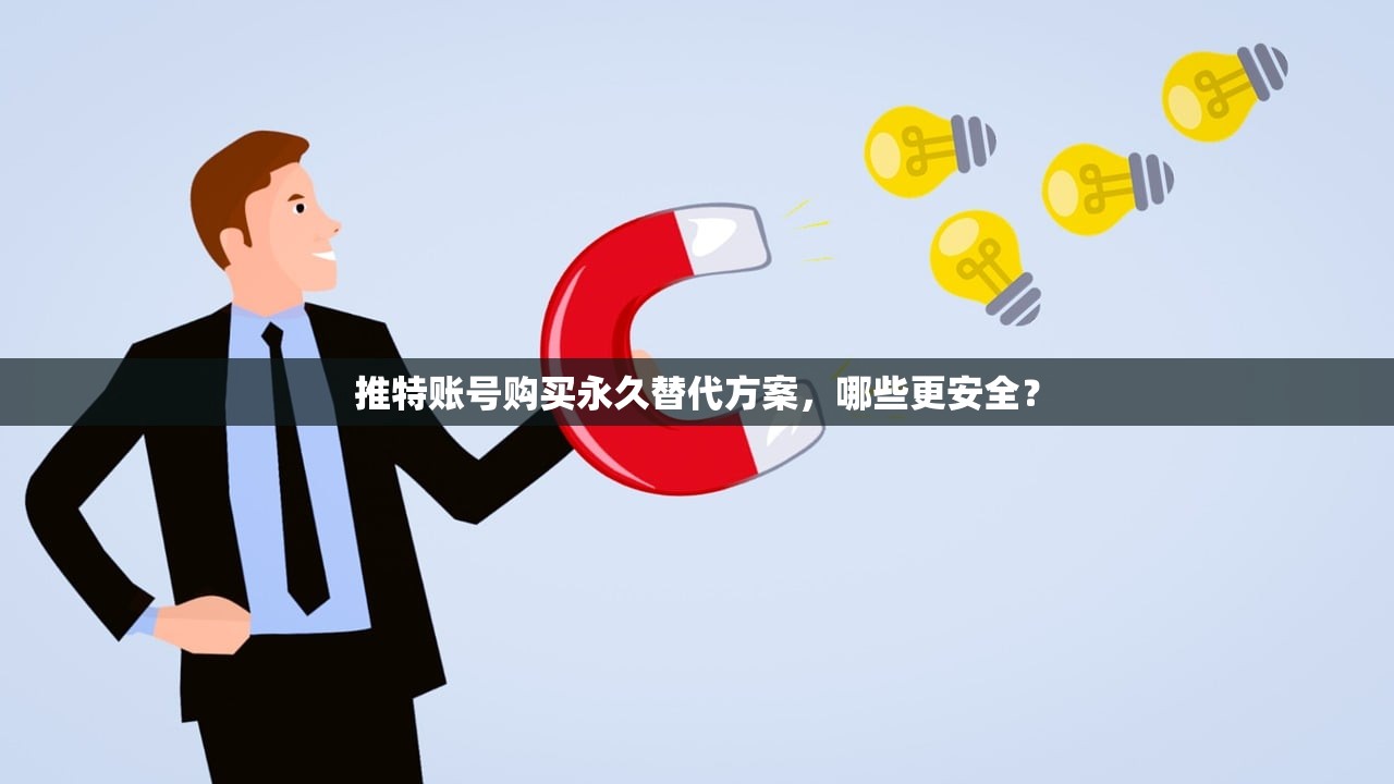 推特账号购买永久替代方案，哪些更安全？