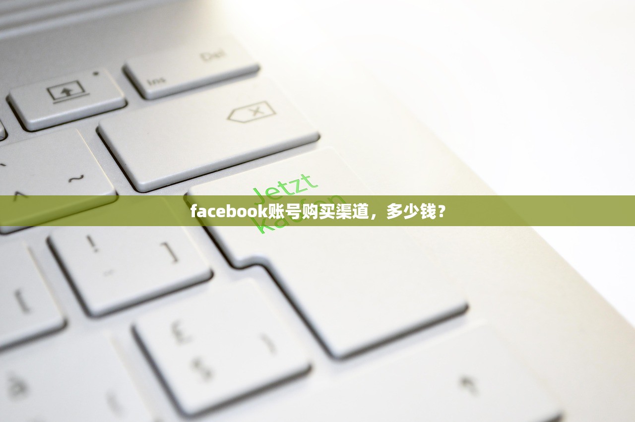 facebook账号购买渠道,多少钱?