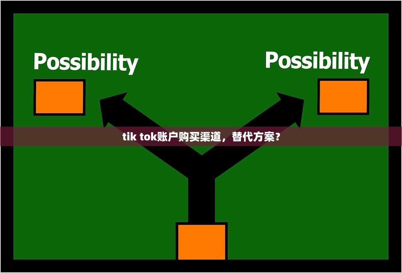 tik tok账户购买渠道,替代方案?