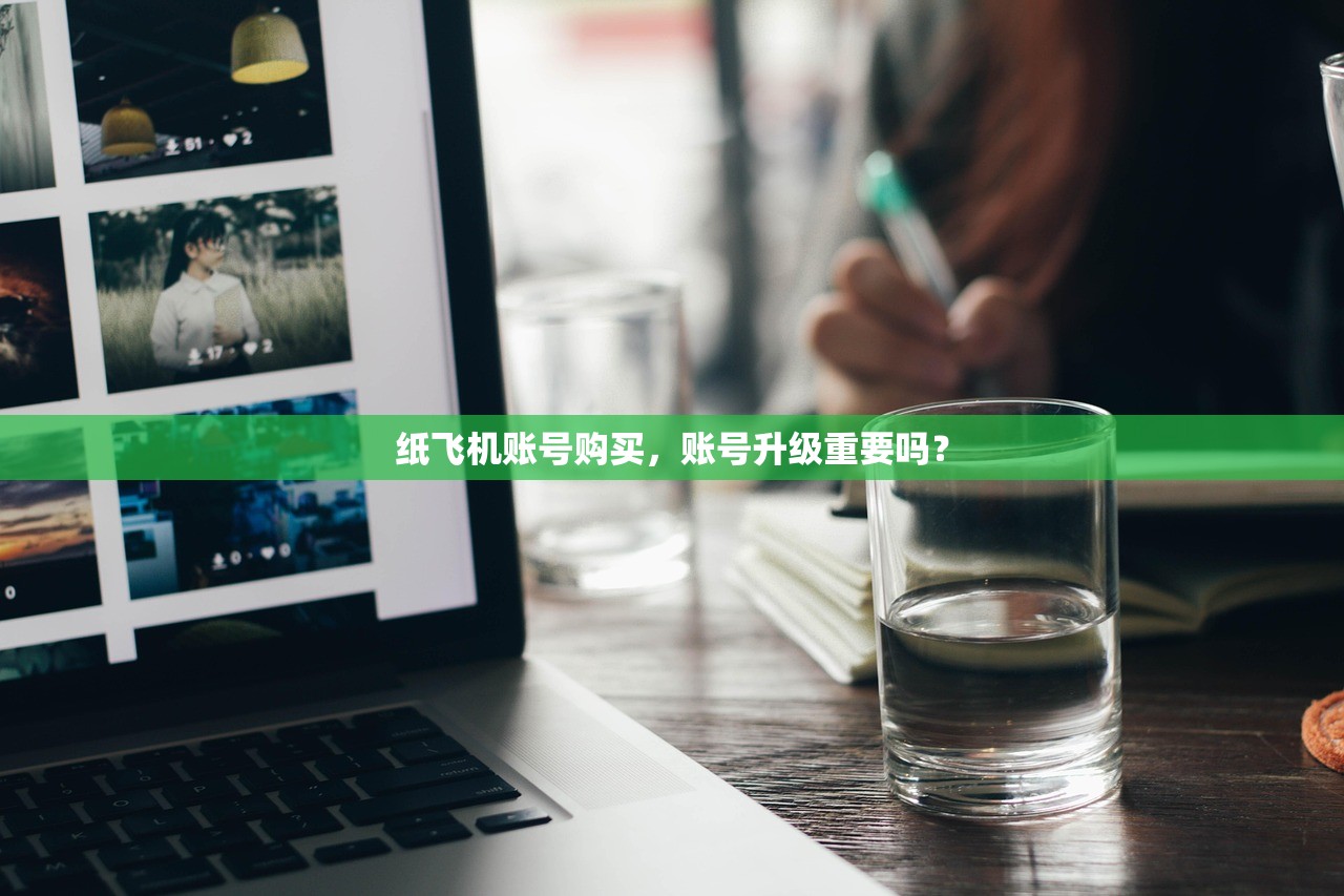 纸飞机账号购买，账号升级重要吗？