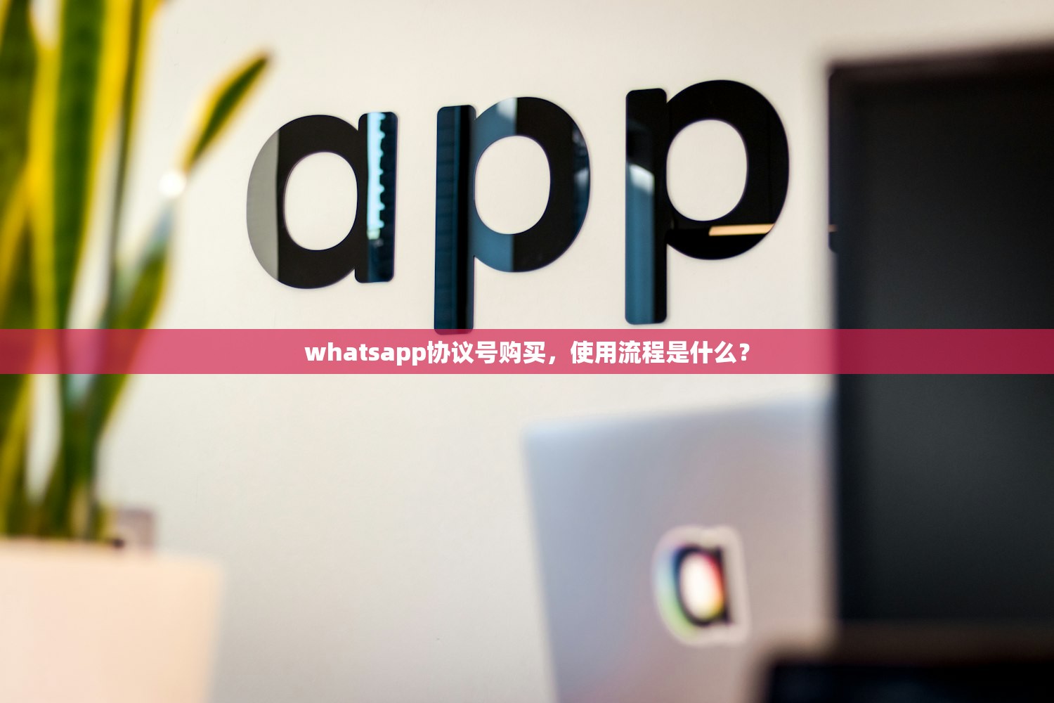 whatsapp协议号购买,使用流程是什么?