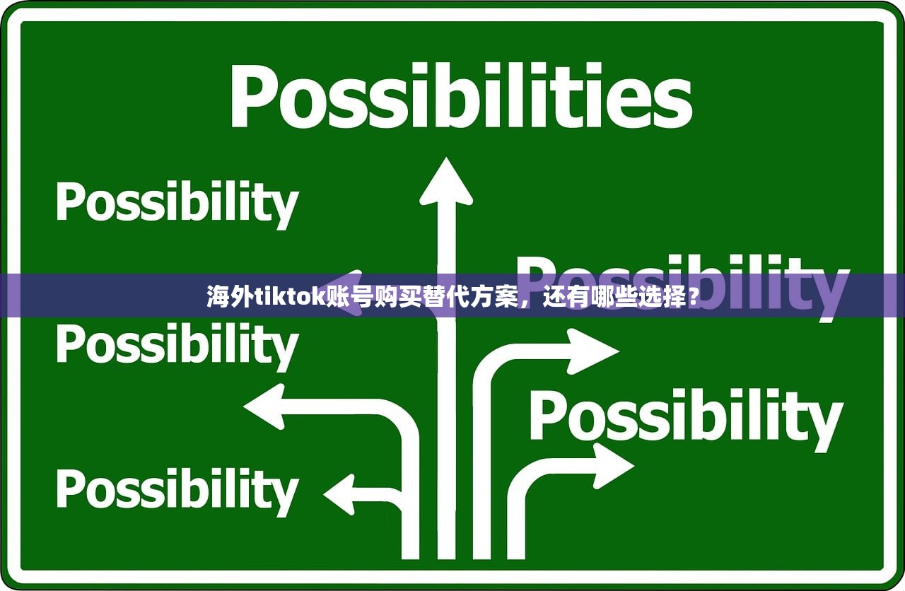 海外tiktok账号购买替代方案,还有哪些选择?