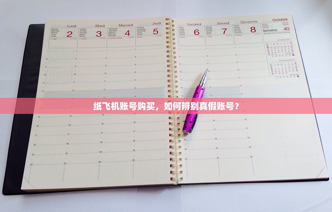 纸飞机账号购买,哪些账号更适合入门?