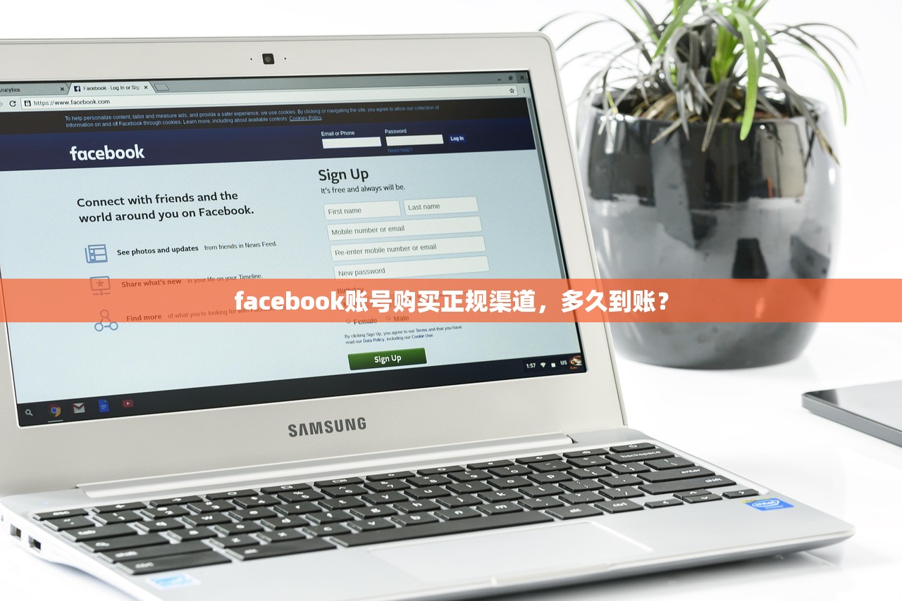 facebook账号购买正规渠道,多久到账?