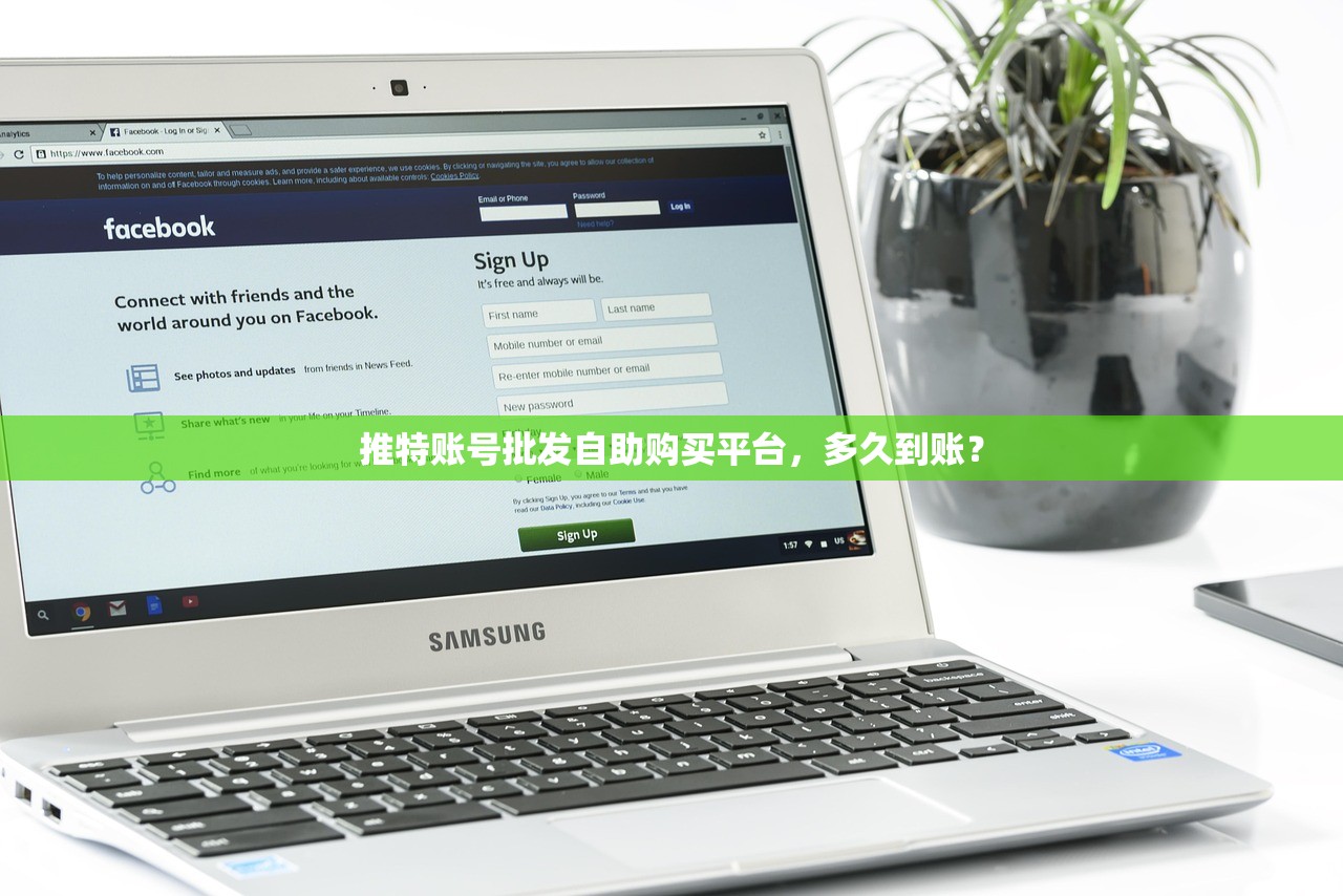 推特账号批发自助购买平台,多久到账?