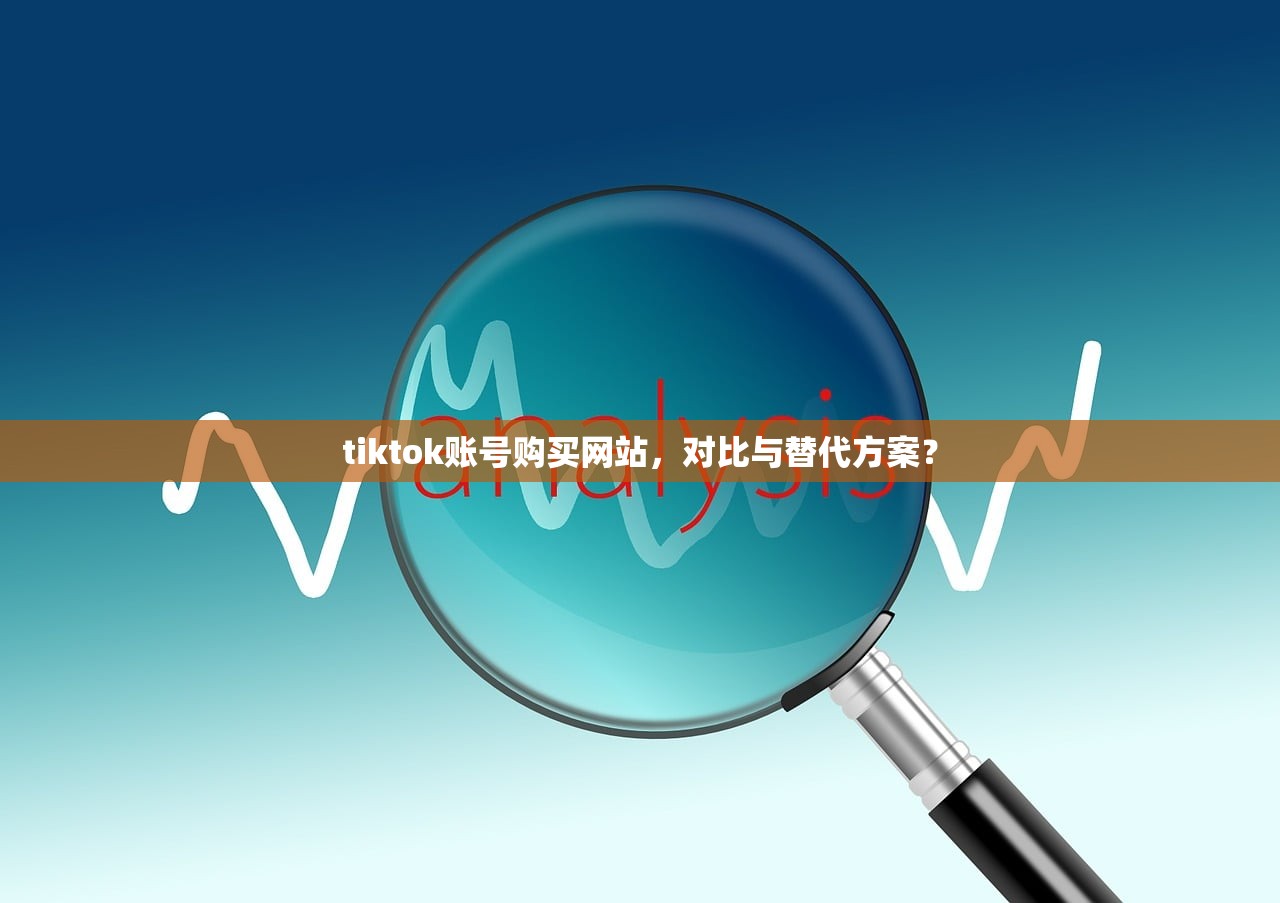 tiktok账号购买网站，对比与替代方案？