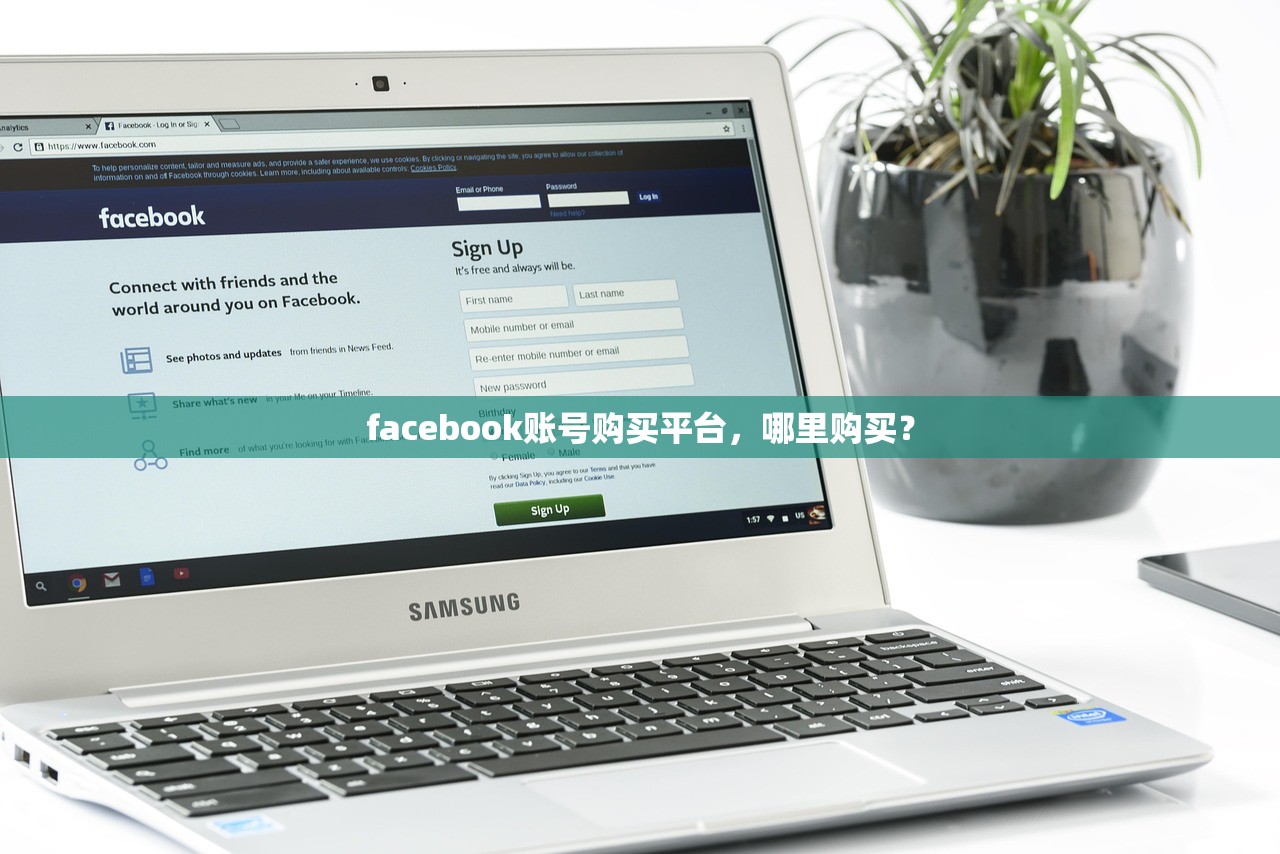 facebook账号购买平台，哪里购买？